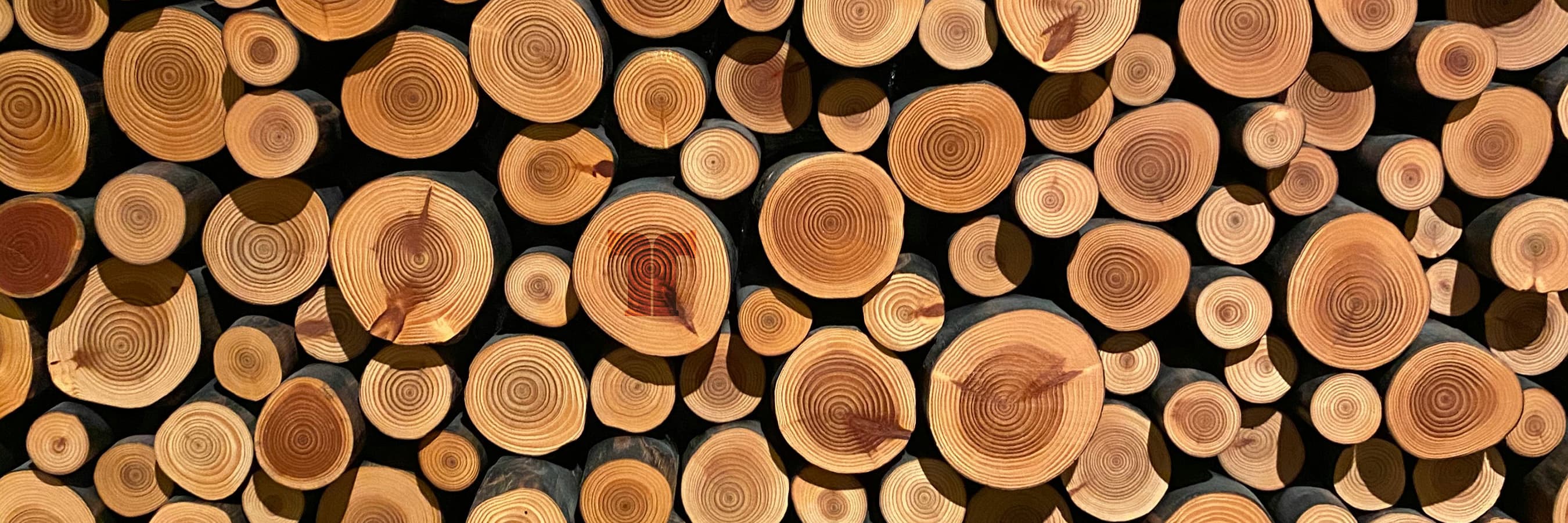 Analyze web access logs with Tailpipe
